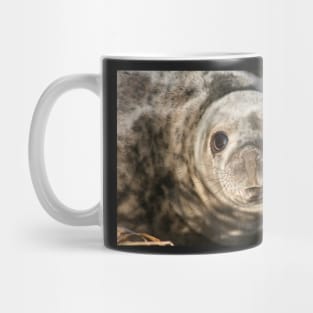 Seal Mug